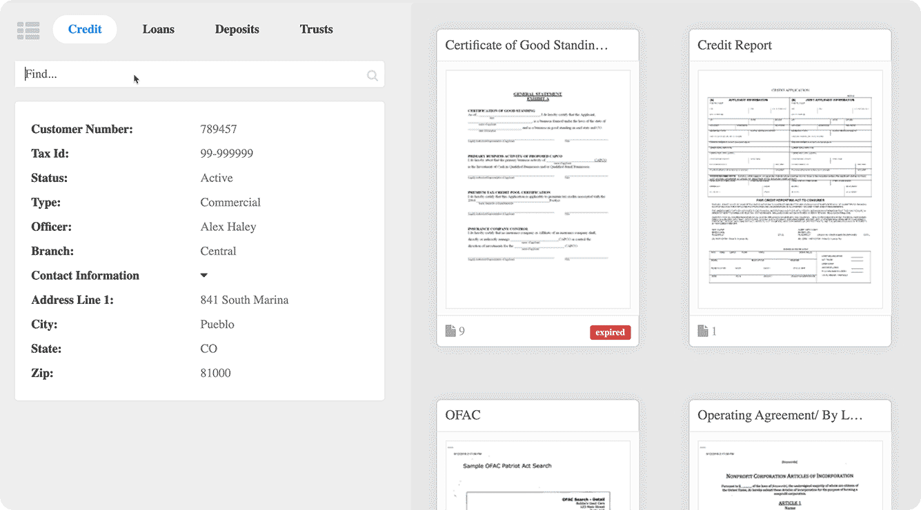 Document view in AccuAccount