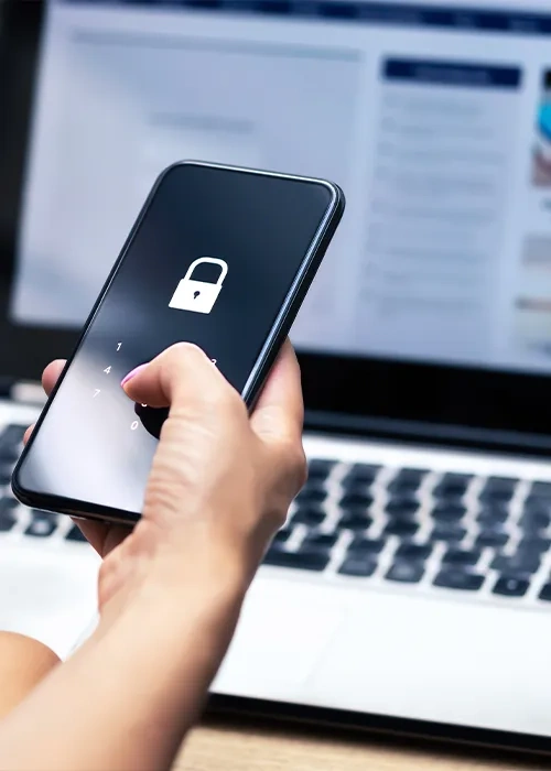 secure merchant capture